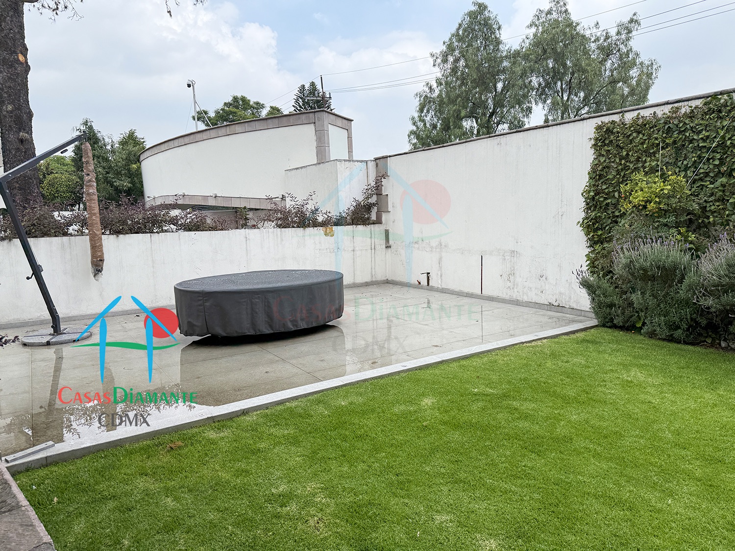 Jardines del Pedregal Casa Árbol B - Jardín 7